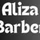 Aliza Barber