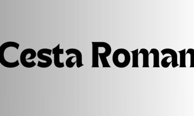 Cesta Roman