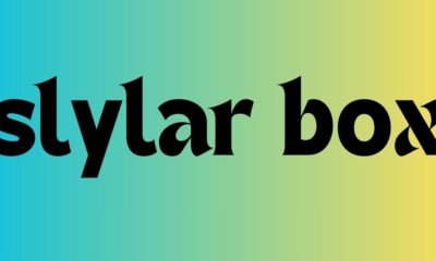 slylar box